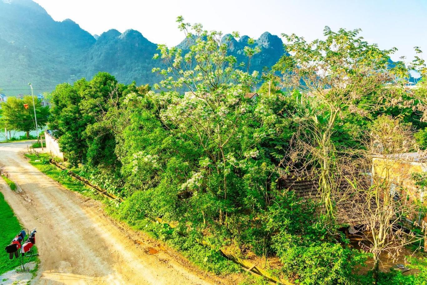 Phong Nha Cherish House Appartement Buitenkant foto